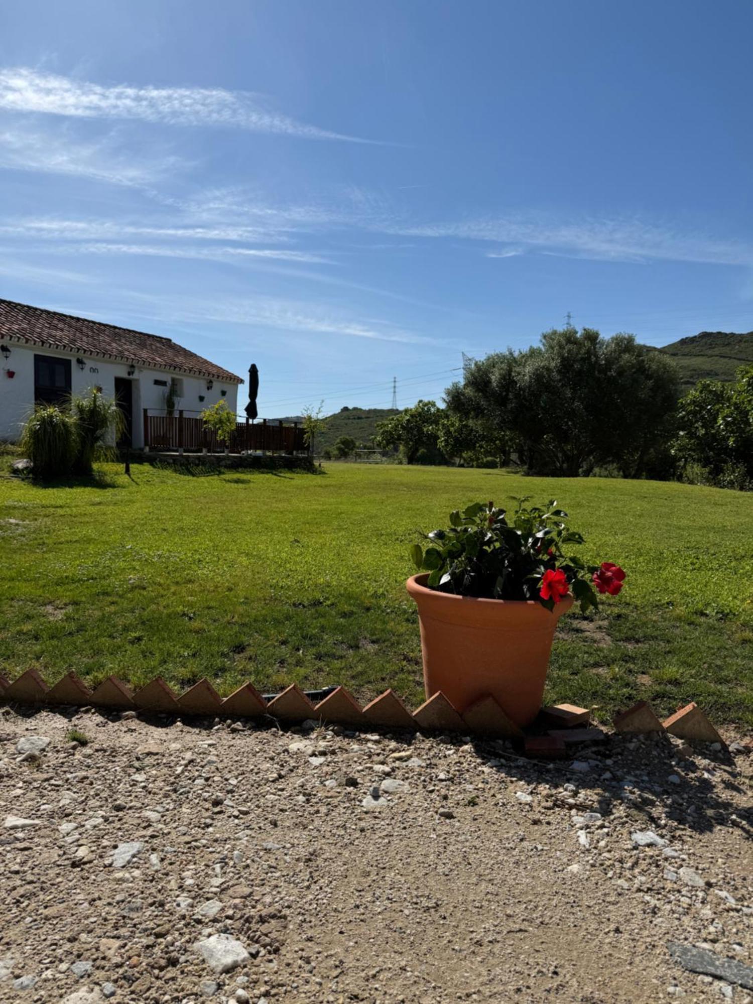 Finca Santa Teresa, Casa Granada Estepona Exterior photo